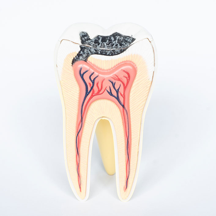 Oral Cancer Screening - Dental Technologies